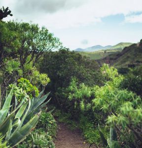 Leiebil & bilutleie på Gran Canaria